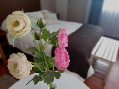 Helena de Santa María