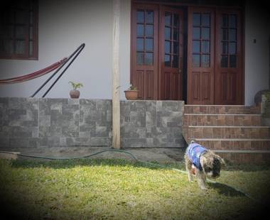 Lunahuaná CASA DE CAMPO PAULLU