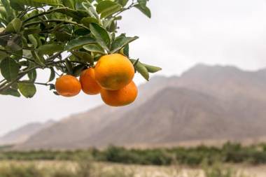 Empedrada Ranch & Lodge - Hotel Asociado Casa Andina