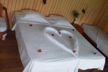 Tropical Adventures & Expeditions