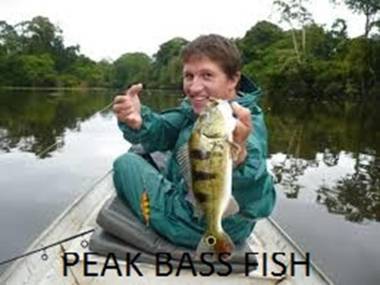 Amazon Antares Lodge