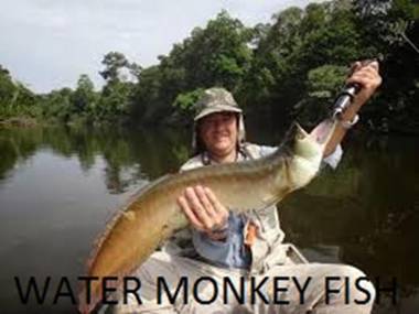 Amazon Antares Lodge