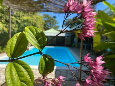 Fare Rearea à Papeete