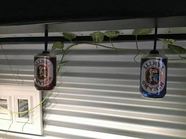 Fare Rearea à Papeete