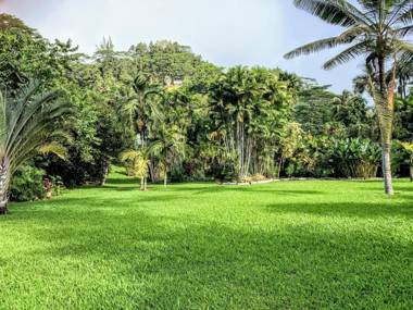 TAHITI - Fare Mitinui Surf Break