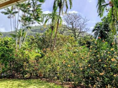 TAHITI - Fare Mitinui Surf Break