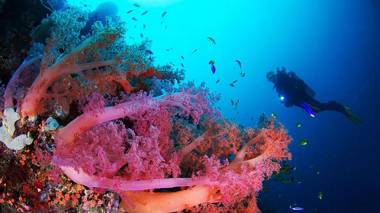 The Blue Abyss Resort