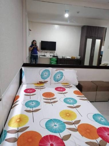 The Persimmon Studios 