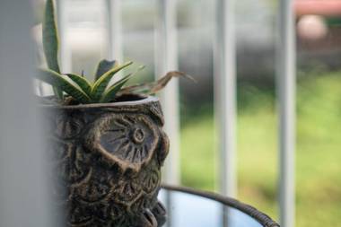 An Oasis in Tagaytay