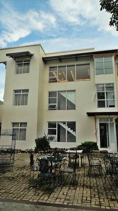 Purple Tree Bed & Breakfast