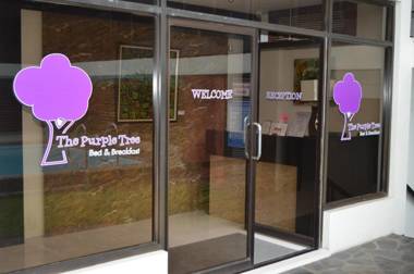Purple Tree Bed & Breakfast