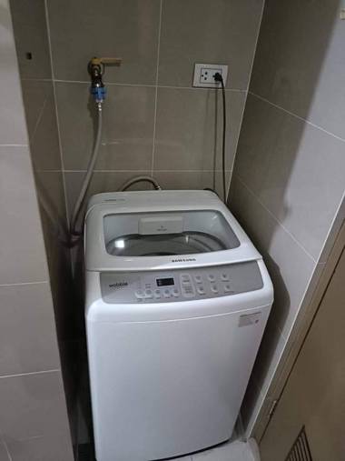 Palm Tree 2 Newport City 