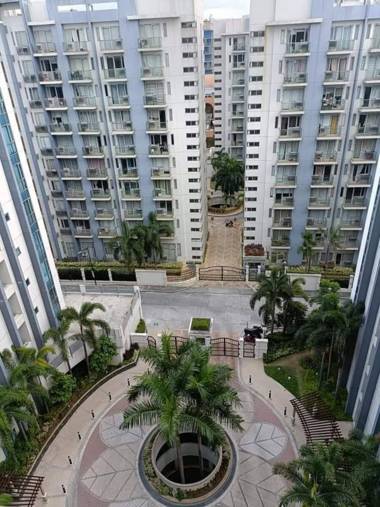 Palm Tree 2 Newport City 