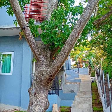 Dinihills Apartments