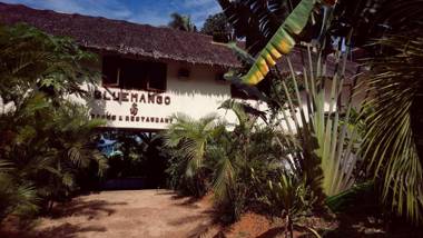 Bluemango Rooms & Villas