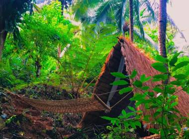 Zen Tierras Farm by Cocotel