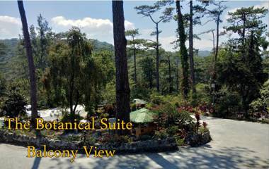 Log Cabin Hotel - Safari Lodge Baguio