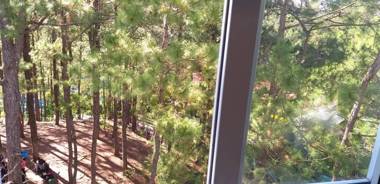 Denice Room transient