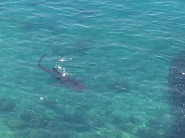 Jaynet Oceanview Resort