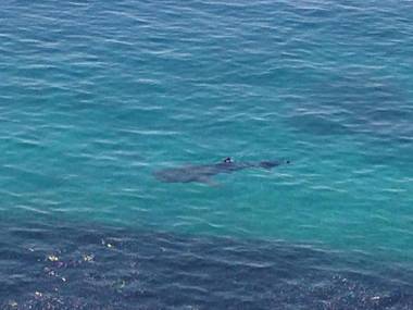 Jaynet Oceanview Resort