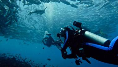 Alona Vida Beach Resort