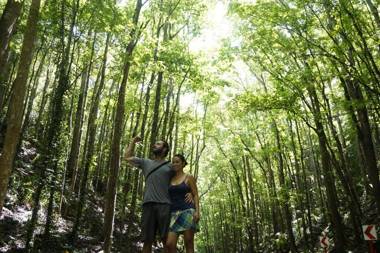 Water to Forest Ecolodge