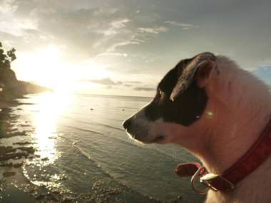 Paseo Del Mar Dive Resort