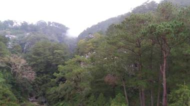 Kanip Aw Pines View Lodge