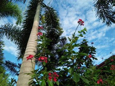 Olana Bed and Breakfast