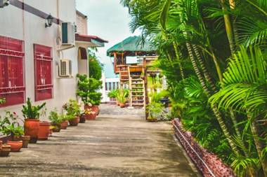 Olana Bed and Breakfast