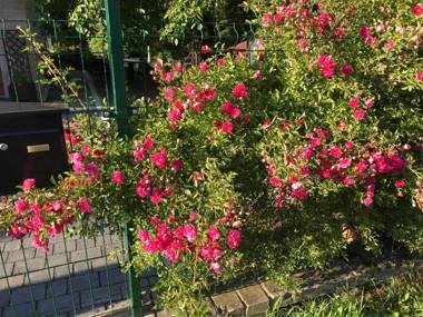 Apartamenty Nova Dolina