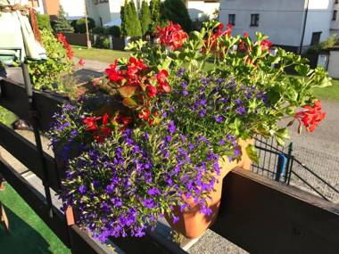 Apartamenty Nova Dolina