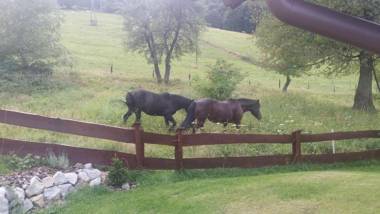 Wiślański Domek z Bajki