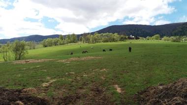 Magiczne Bieszczady - Krzywe 24