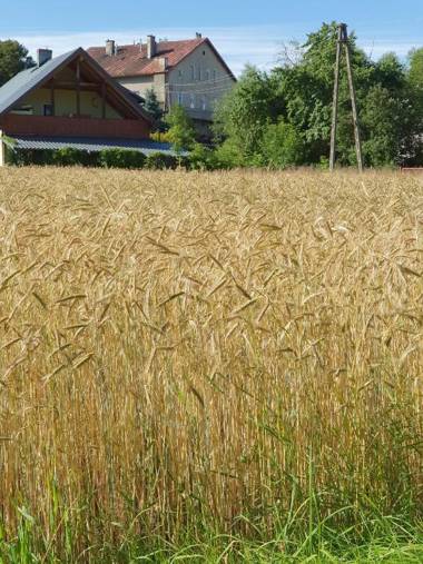 Apartament Kudowa Zdrój - Słone 60m2