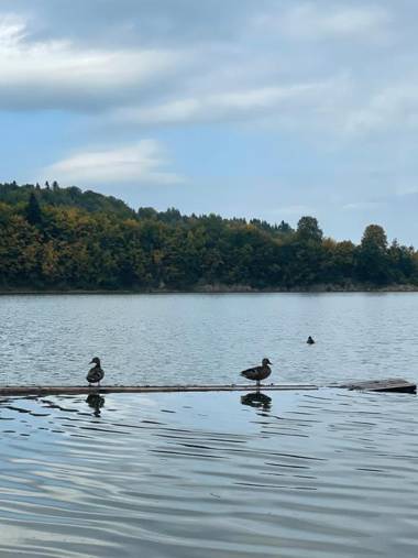 Apartamenty Na Stoczku Bieszczady