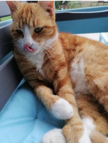 Jak Tu Ładnie - Osada domków nad jeziorem