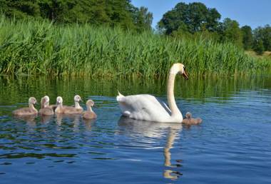 Jak Tu Ładnie - Osada domków nad jeziorem