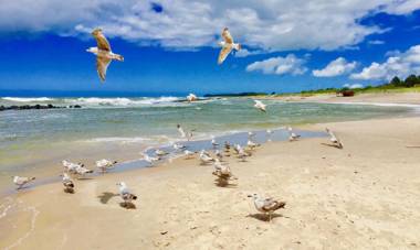 Apartamenty z widokiem na morze Marina Royale