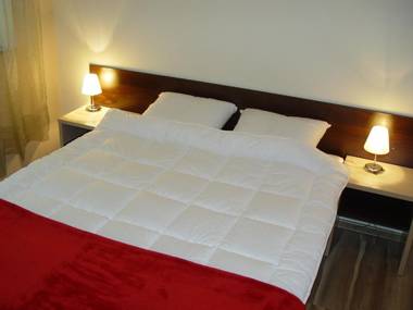 Willa Jagiellonka w Centrum (parking)