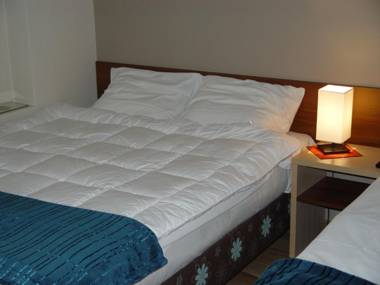 Willa Jagiellonka w Centrum (parking)