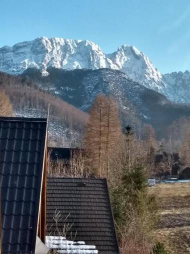 Willa Zielony Zakątek