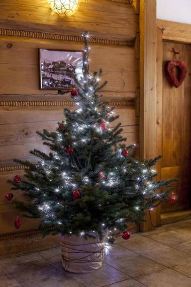 Apartamenty u Giewonta