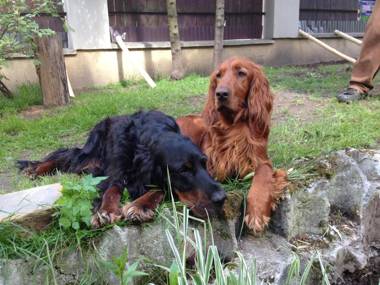 Apartament Chata Toma