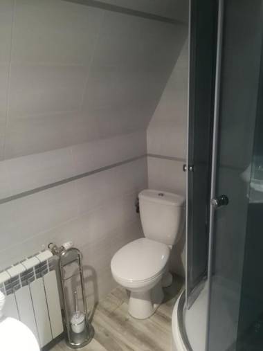 Apartament Stary Mlyn
