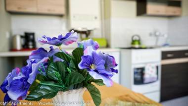 MSC Apartments Zakopane Centrum Pod Smrekami