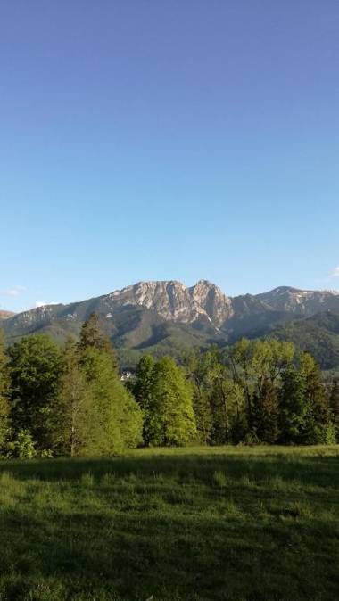 Domki na Wyskówkach