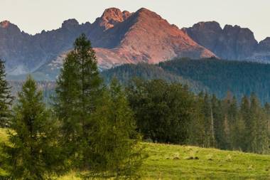 Rent like home - Willa Zoniówka