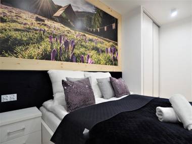 VIP Apartamenty ROYAL SPA