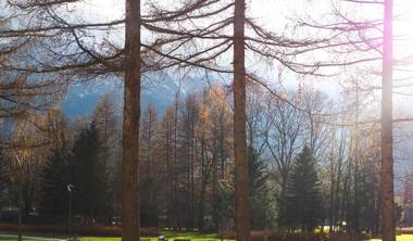 Apartament Liliowa Przełęcz